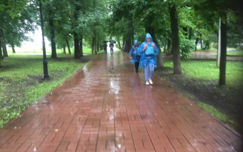 Синоптики предупредили ярославцев о вторжении циклона