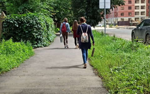 Жарко как летом: когда ждать потепления ярославцам