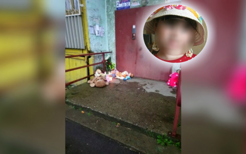 "Убитым девочкам игрушки не нужны": ярославцы обратились к жителям города