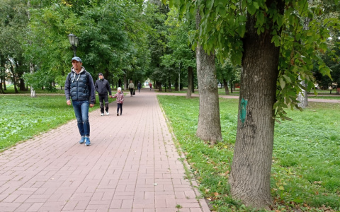 Цифры удивили: росстат рассказал о соотношении мужчин и женщин  в Ярославской области