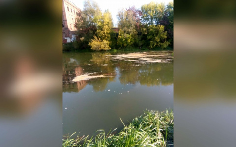 Сбросили навоз в реку: из-за ЧП под Ярославлем жителей лишили воды