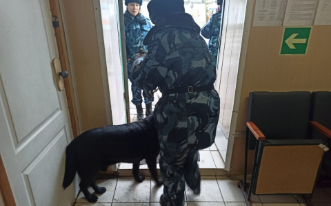 "Творилось невообразимое": адвокат сообщила о задержании в колонии, где сидит Урлашов