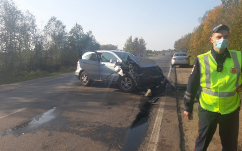 Кювет, удушение ремнем и травмы: в Ярославле ищут свидетелей ДТП, где погибла девочка