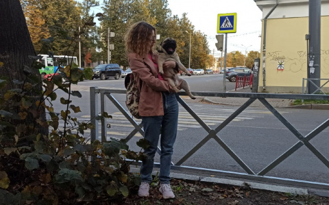 "Лишь бы освоить деньги": власти Ярославля объяснили, зачем красные заборы поменяли на некрашеные