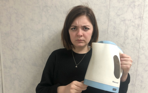 «Организмов, как в тропическом лесу»: ученые назвали самую грязную часть тела