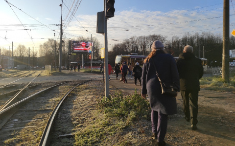 Всех бизнесменов Ярославля ждет прокурор: что случилось