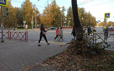 "Решили сделать ад для жителей": блогер Варламов высказался о новых заборах в Ярославле