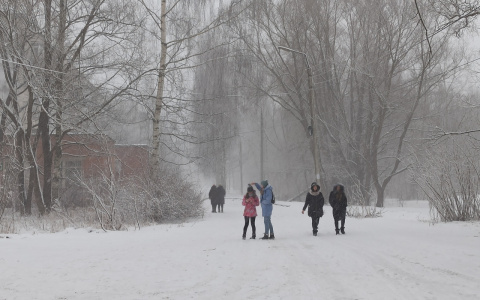 Аномальную зиму в Ярославле пообещали синоптики