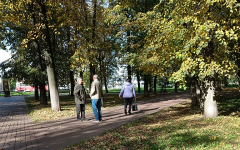 Кто ваши предки: обзор по группе крови