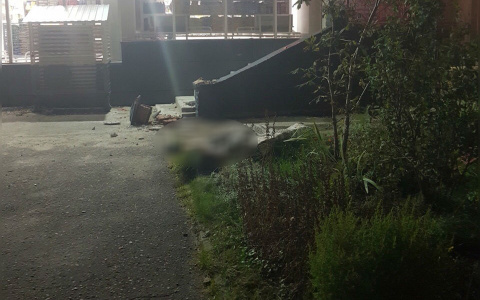 Воткнула в грудь нож: труп мужчины нашли под Ярославлем