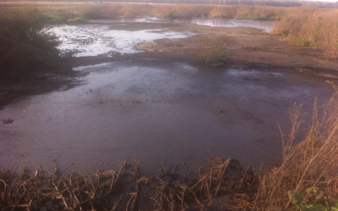 "Сливают годами": ярославцы бьют тревогу из-за загрязнения реки