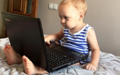 Расходы ярославцев на программное обеспечение для школьников выросли на 89%