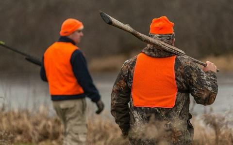 "Это естественно": департамент экологии высказался о загрязнении реки под Ярославлем