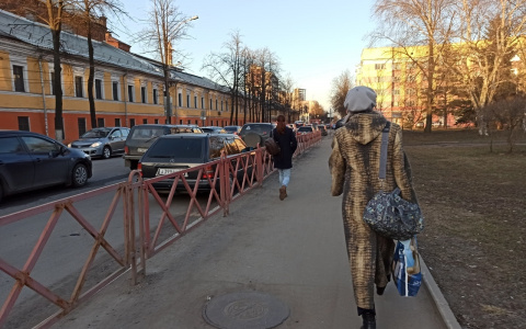 Заморозки надвигаются на Ярославль: что говорят синоптики