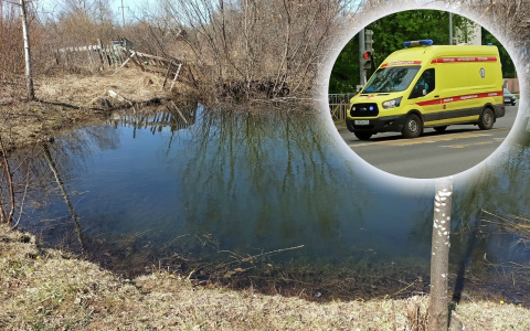 Два трупа нашли в машине в пруду под Ярославлем: подробности