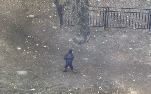 Снег выпадет на этой неделе надолго: синоптики удивили ярославцев