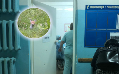 Гналась за моим внуком: ярославна с ребенком в коляске убегала от хищника