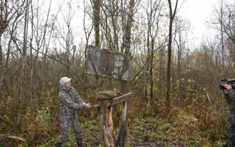 Животных жалко: как в Ярославской области ловят браконьеров