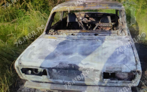Авто нашли в лесополосе: поджигателя поймали в Ярославле