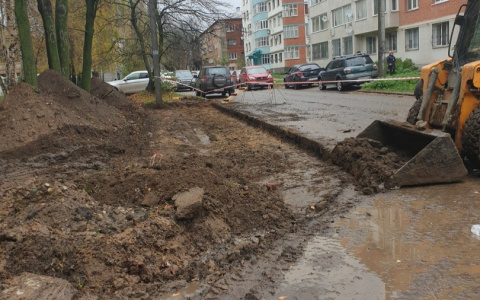 Аллею кленов в центре Ярославля вырубили под парковку: почему мэрия разрешила