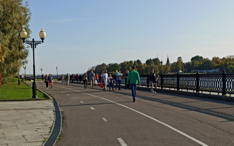 Длина ног, уши и грудь расскажут, сколько вы проживете