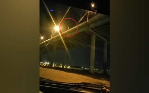 Рыдала на краю моста: полицейские спасли девушку в Ярославле