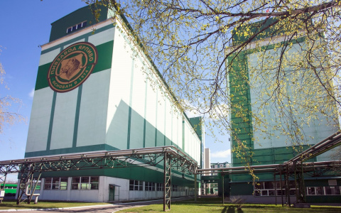 Стали производить больше: «Балтика» в III квартале 2020 года увеличила объем продаж на 19%