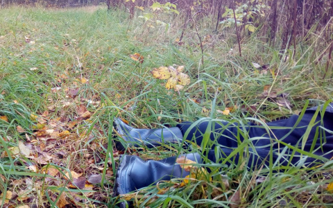 Умирал, истекая кровью: косой стрелок из Ярославля застрелил своего друга