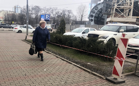 Зарядит на неделю: когда выпадет настоящий снег в Ярославле