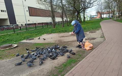 ПФР о сокращении пенсий: кому обещали урезать