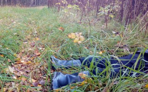 Подстрелил вместо кабана: в Ярославле расследуют смерть охотника