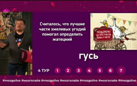 OctoberBeerFestival на «Балтике» прошел в онлайн-формате