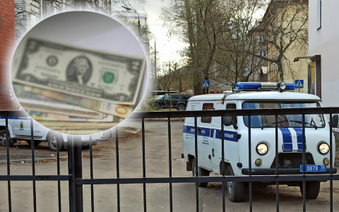 Польстился на доллары: ярославский вор-домушник обокрал коллекционера