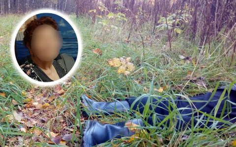 Труп женщины без головы нашли в лесу под Ярославлем