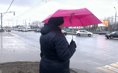 Розовую зиму пообещали ярославцам синоптики