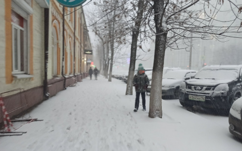 Розовую зиму 2020-21 предрекли ярославцам метеорологи