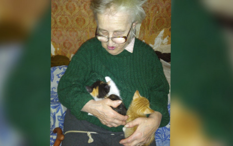 Половина легких поражена: дочь глухой пациентки ковид-госпиталя Ярославля пытается докричаться до врачей