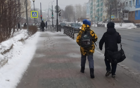 Дату прихода зимы в Ярославль назвали синоптики