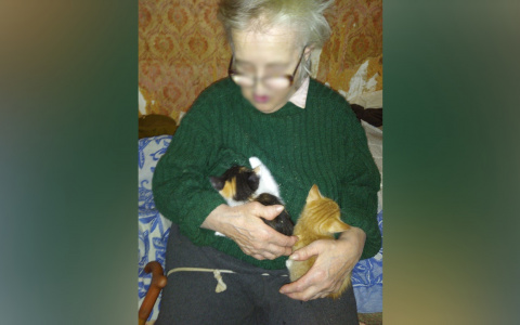 «Мама умерла»: в Ярославле скончалась женщина с подозрением на ковид