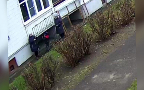 «Чему вы учите»: две женщины с ребёнком обокрали ярославскую семью