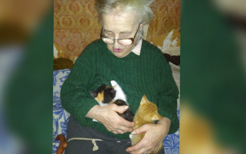 У погибшей в ковид-госпитале ярославны остались восемь кошек