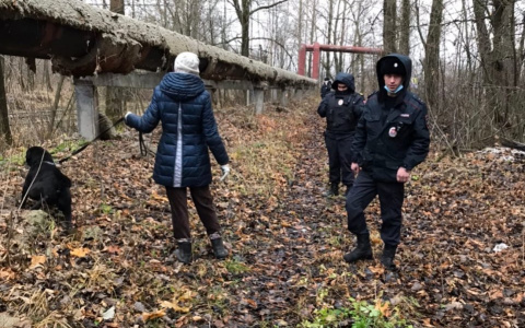 "Не могла даже лечь": в Ярославле полицейские охраняли лабрадора, брошенного на смерть