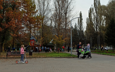 Магазины вместо парков: главный архитектор Ярославля предлагает уменьшить зоны отдыха