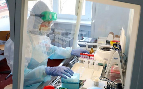 Новая смерть от ковида: обнародовали данные по коронавирусу в Ярославской области