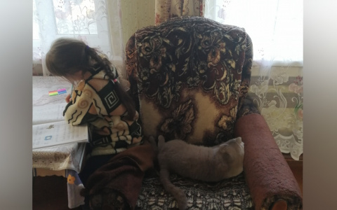 Следком объявил в розыск детей-художников в Ярославле