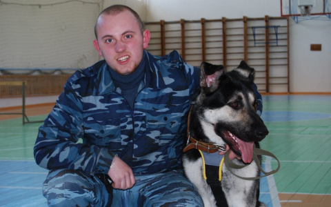 "Мишка спас мне жизнь ценой своей": хозяин сбитых собак подает в суд на водителя маршрутки