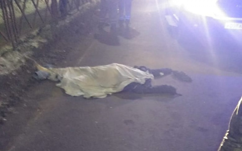 Тело накрыли простыней: за Волгой пешехода насмерть прокатили на капоте