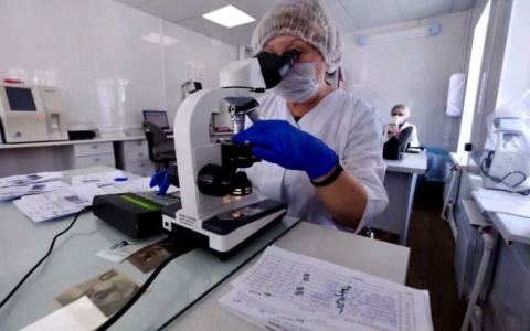 Пять новых смертей от ковида: обнародовали цифры по Ярославской области