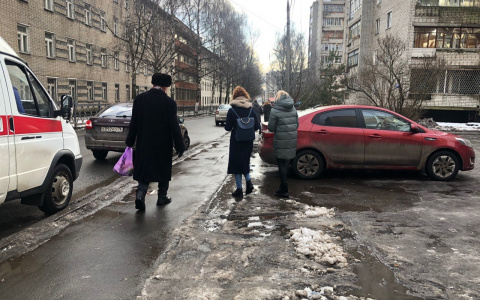 Не так, как обычно: синоптики рассказали, когда в 2021 году ждать весны