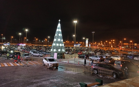 Платные парковки в Ярославле стали бесплатными: причины